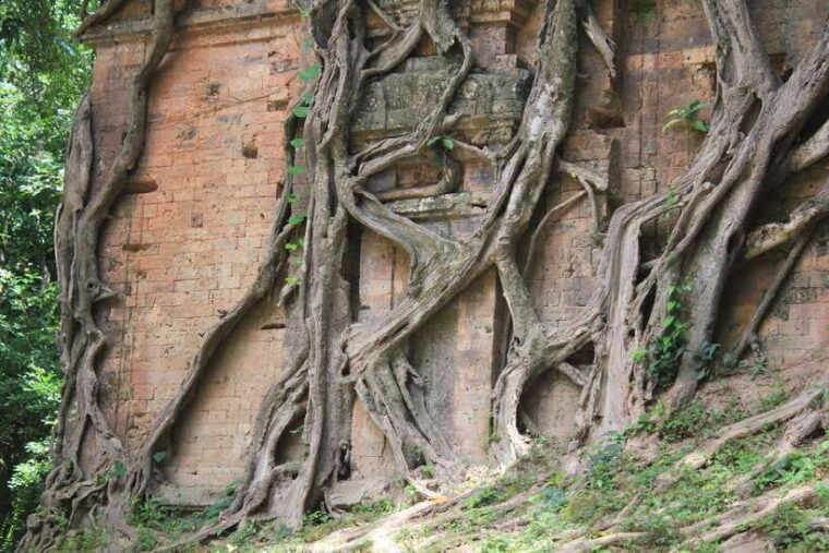 siem-reap-sambor-prei-kuk-and-kompong-khleang-day-tour