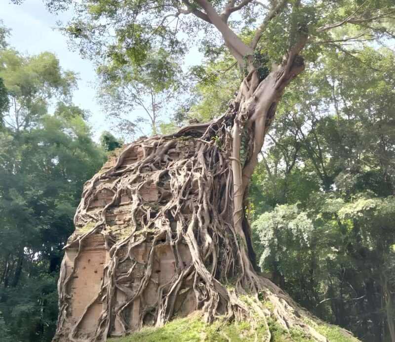 Siem Reap: Sambor Prei Kuk & Preah Kan Kampong Svay Tour - Who This Tour Is Best For