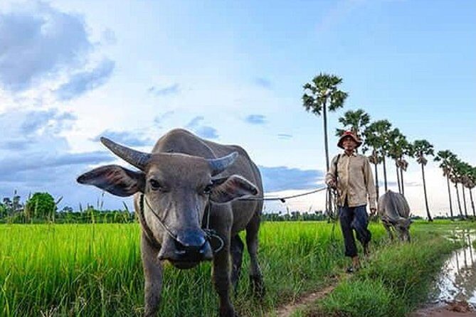 Siem Reap: Silk Farm & Countryside Offbeat Jeep Tour - Exploring the Itinerary