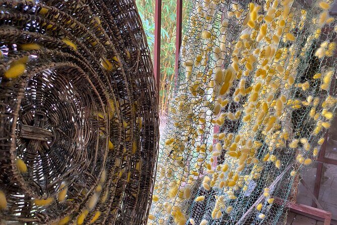 Siem Reap: Silk Farm & Countryside Offbeat Jeep Tour - Frequently Asked Questions