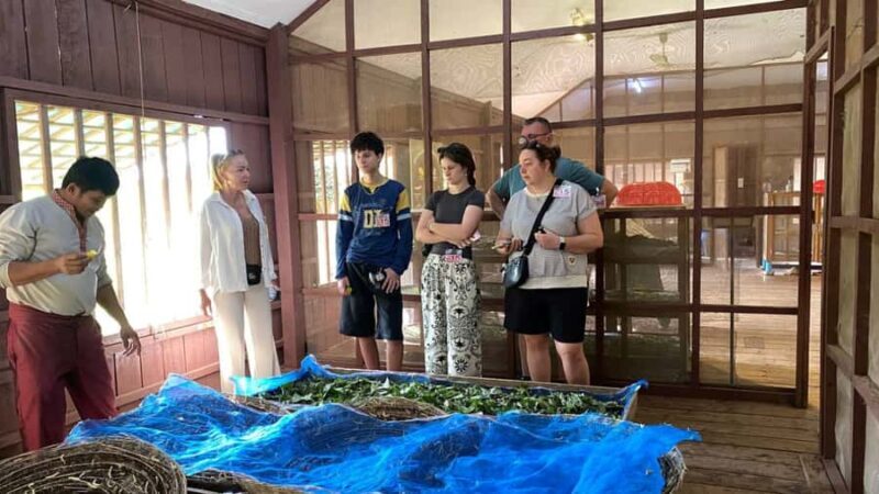 Siem Reap: Silk Farm, Handicraft Center, & War Museum Tour - Exploring Siem Reap’s Hidden Gems: Silk Farm, Handicraft Center, & War Museum