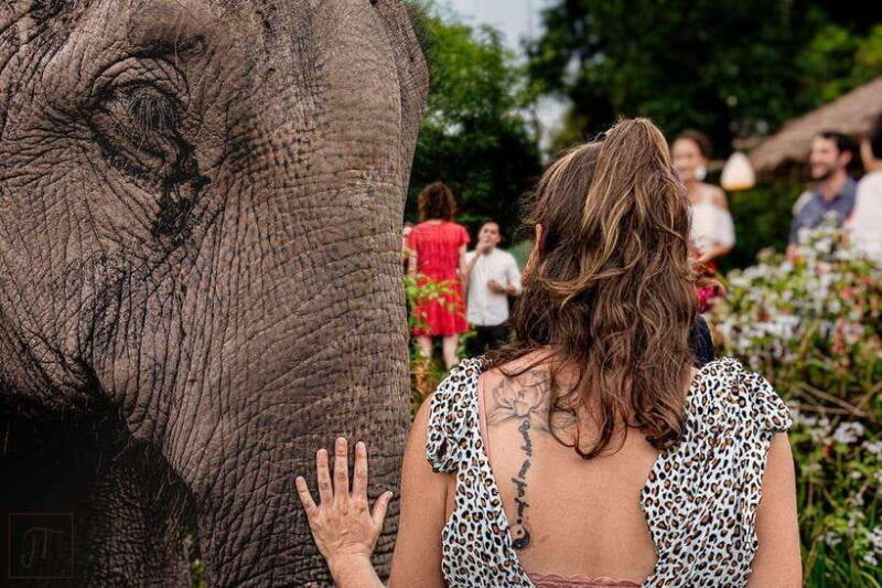 siem-reap-small-group-tour-of-kulen-elephant-forest-2