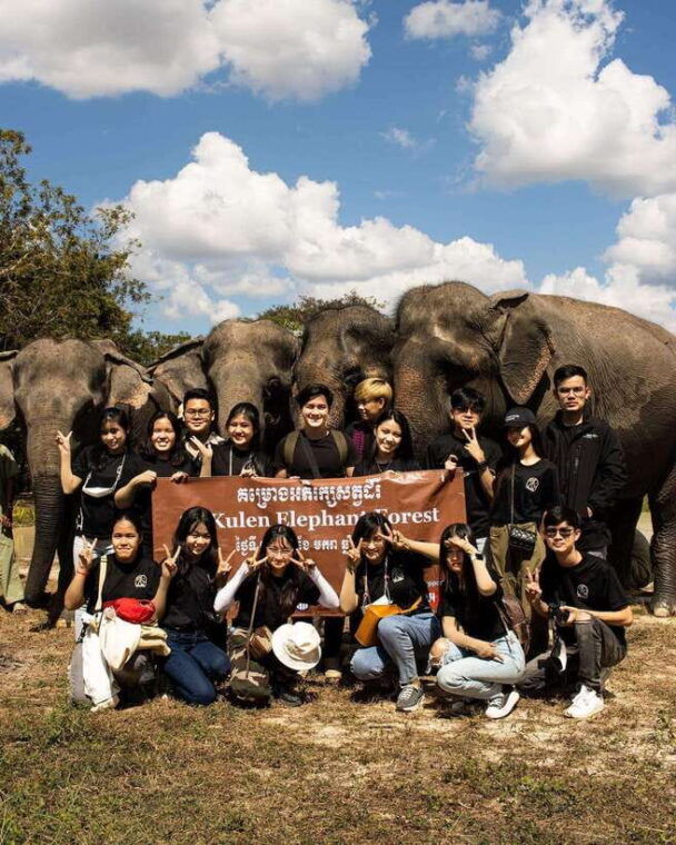 siem-reap-small-group-tour-of-kulen-elephant-forest-2