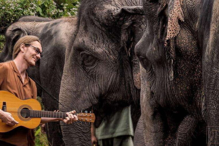 siem-reap-small-group-tour-of-kulen-elephant-forest-2