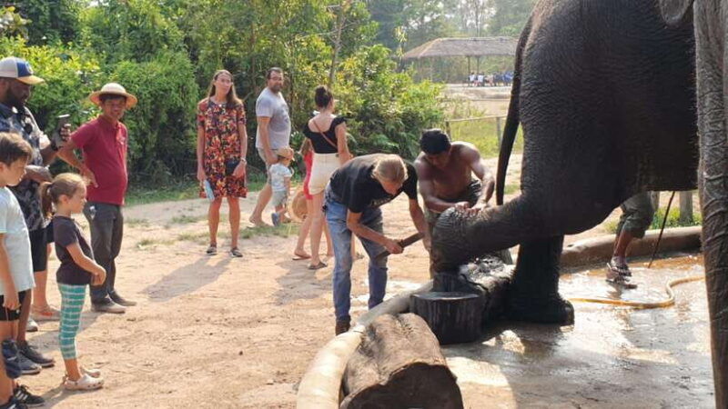 siem-reap-small-group-tour-of-kulen-elephant-forest