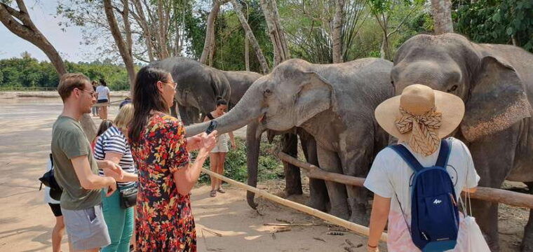 siem-reap-small-group-tour-of-kulen-elephant-forest