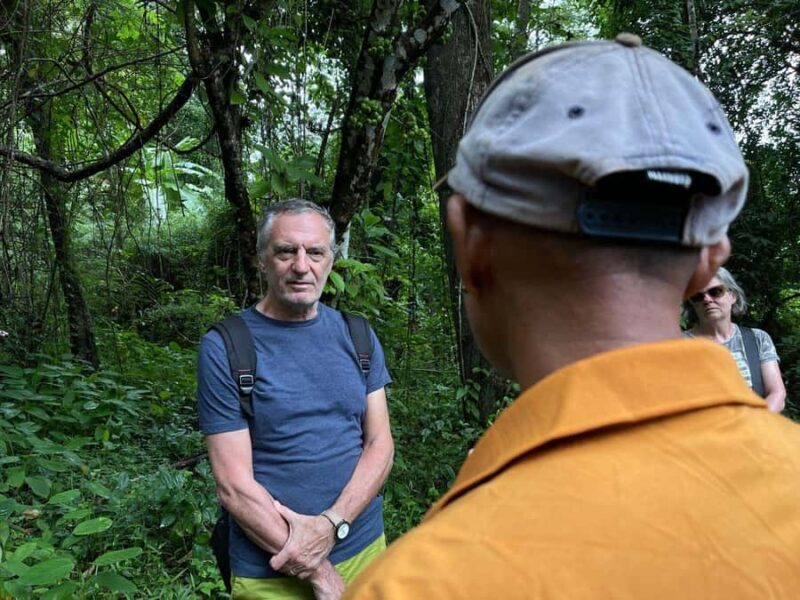 Siem Reap Sunset Experience with Khmer Dinner & Apsara Show - The Experience Breakdown: From Sunset to Show