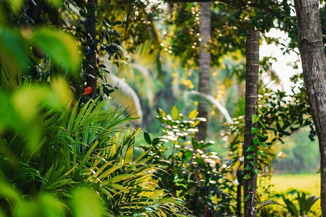 Siem Reap Village Tour - The Practicalities: What You Need to Know