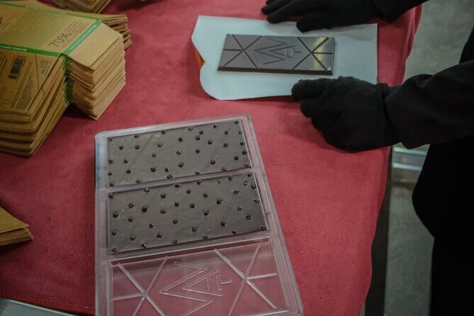 Siem Reap  Visit to Cambodias first chocolate factory - The Sum Up