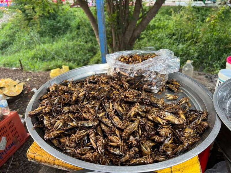 siem-reaps-street-food-tours