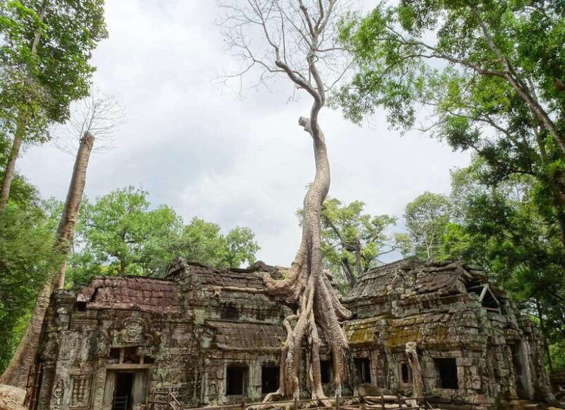 siemreap-private-angkor-wat-tour-w-german-or-english-guide