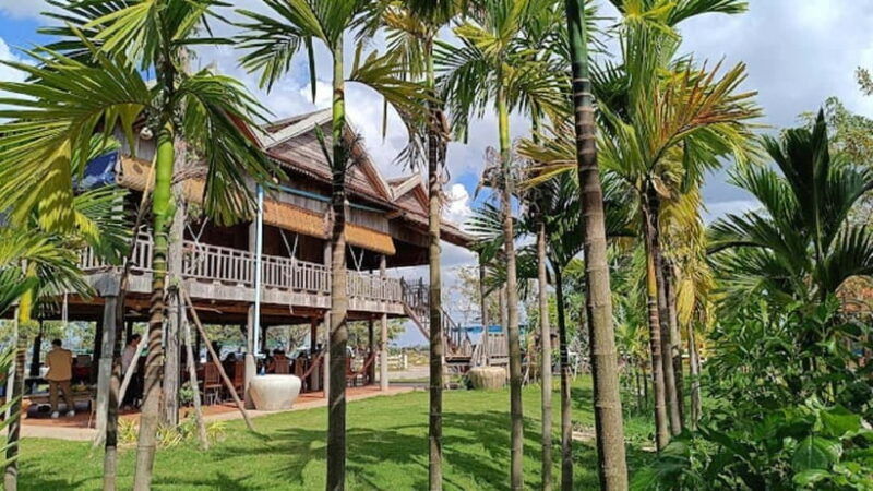 siemreap-sunset-dinner-riding-an-ox-cart-at-rice-paddy-field