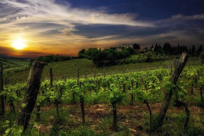 siena-a-wine-tour-and-tasting-experience