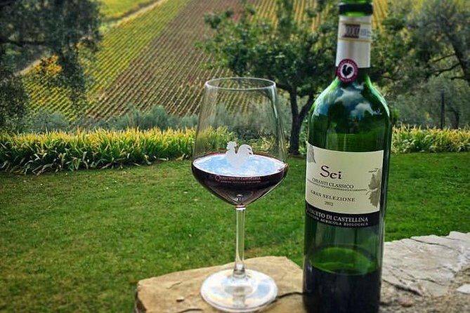 siena-and-chianti-wineries-excursion-by-private-luxury-van-from-florence-2