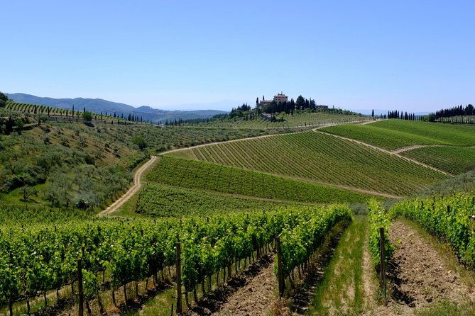 siena-and-chianti-wineries-excursion-by-private-luxury-van-from-florence-2