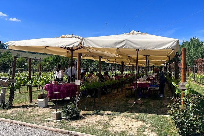 siena-and-san-gimignano-from-rome-private-wine-tour-in-tuscany