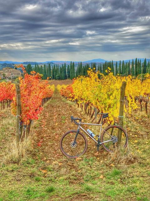 siena-chianti-classico-guided-cycling-tour