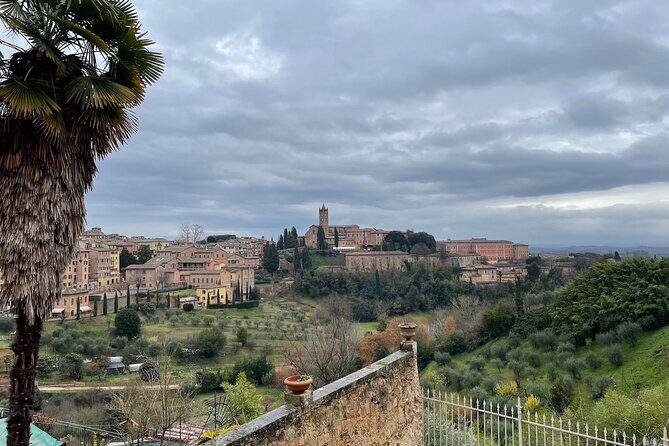 Siena Guided Tour with Cathedral and Optional Crypt & Museum - The Experience’s Practical Details