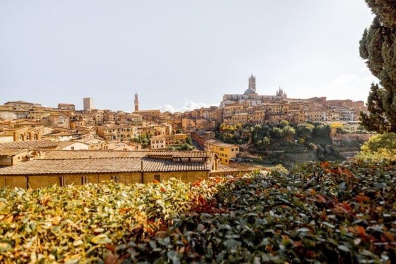 siena-highlights-private-walking-tour