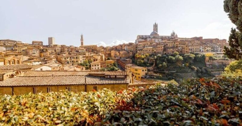 siena-highlights-private-walking-tour
