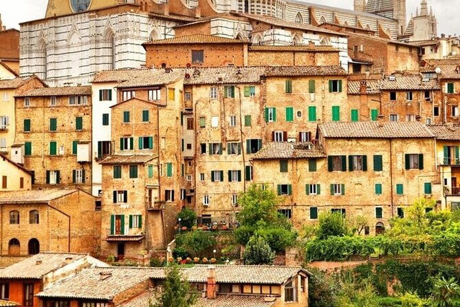 siena-highlights-private-walking-tour-with-a-guide-private-tour