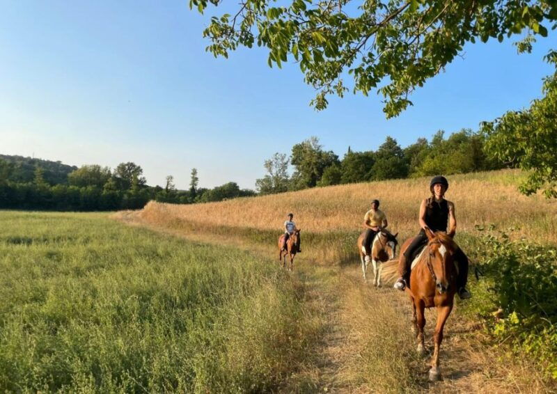 siena-horseback-adventure-in-the-tuscan-countryside