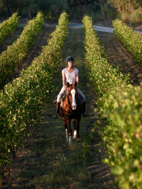 siena-horseback-adventure-in-the-tuscan-countryside