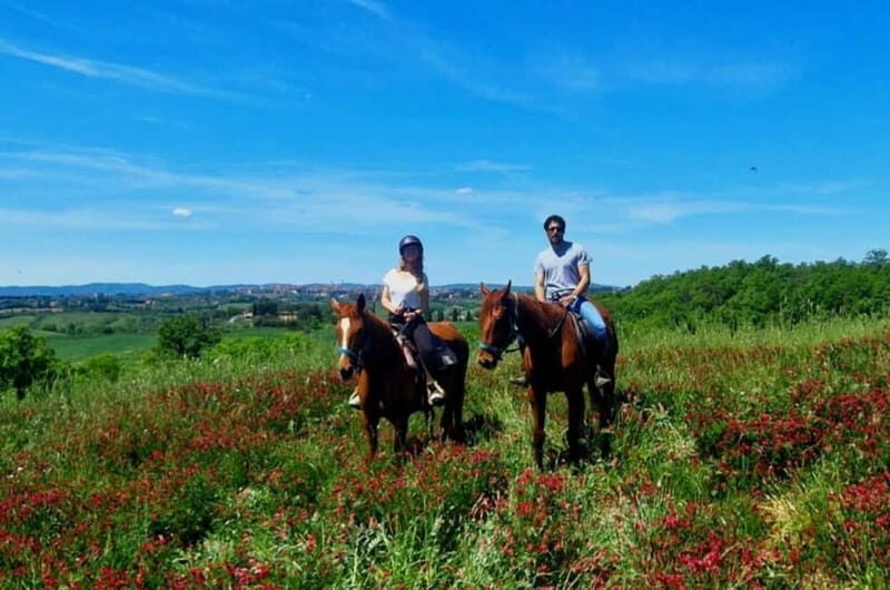 Siena: Horseback Riding Tour in the Tuscany Countryside - What to Expect from the Tuscany Horseback Tour