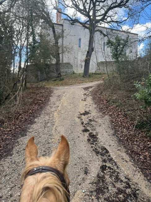 Siena: Horseback Tour on the Via Francigena - Key Points