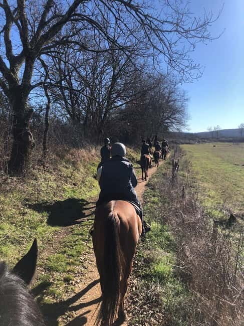 Siena: Horseback Tour on the Via Francigena - The Sum Up