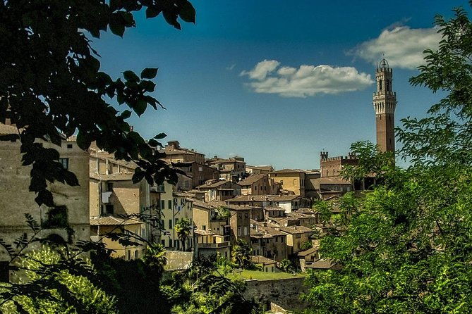 siena-magica-private-walking-tour