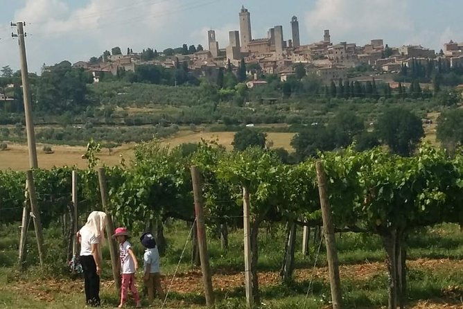 siena-monteriggioni-san-gimignano-with-lunchwinetasting-fullday-from-florence