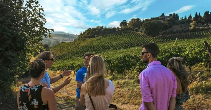 siena-organic-winery-tour-and-wine-tasting
