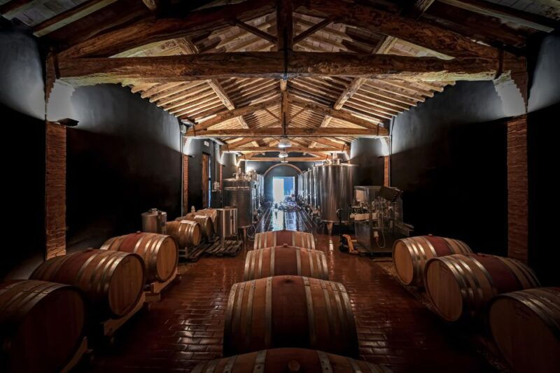 siena-organic-winery-tour-and-wine-tasting