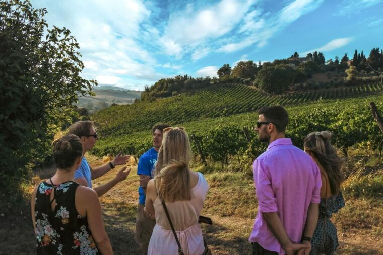 siena-organic-winery-tour-and-wine-tasting