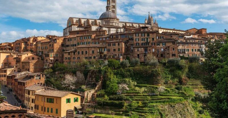 siena-san-gimignano-and-chianti-day-trip-from-florence
