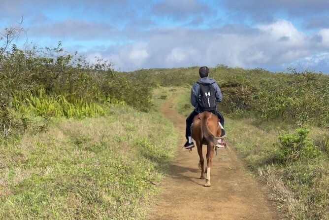 sierra-negra-volcano-galapagos-horse-riding