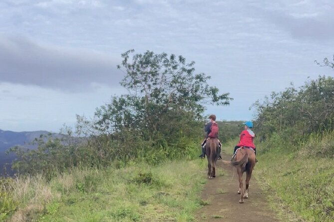 sierra-negra-volcano-galapagos-horse-riding