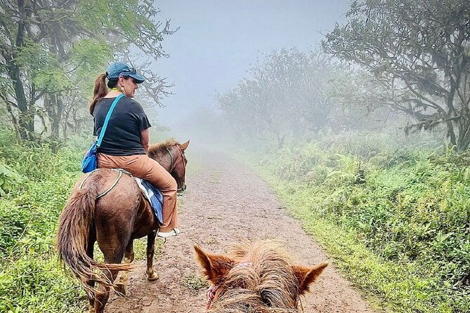 sierra-negra-volcano-galapagos-horse-riding