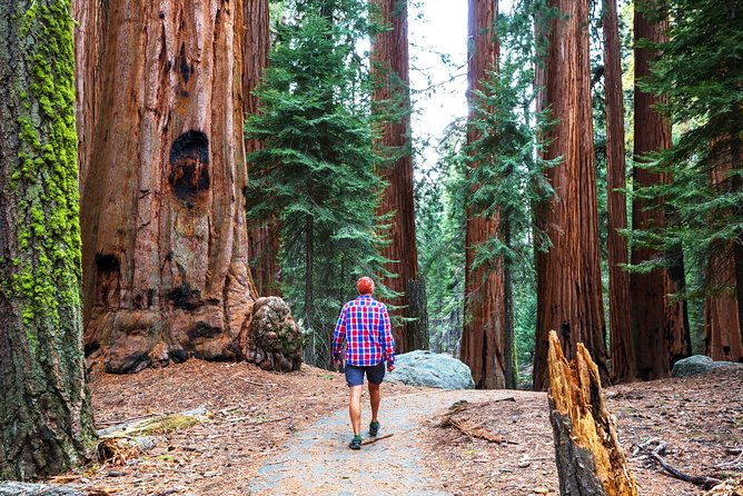 sierra-nevada-4-day-tour-of-yosemite-and-tahoe-from-san-francisco-2