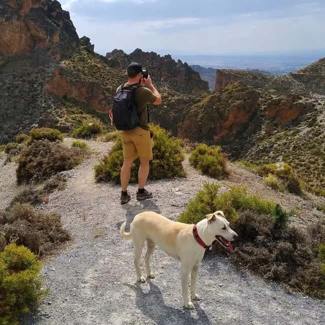 Sierra Nevada Canyon Hike with Pup Guide - Frequently Asked Questions