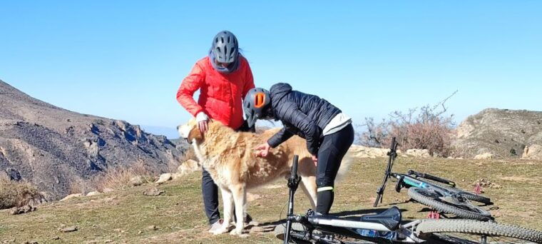 sierra-nevada-small-group-e-bike-tour