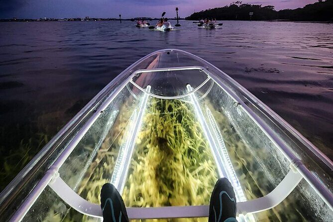 Siesta Key, FL - Clear Kayak LED Night Glass Bottom Tour - Key Points