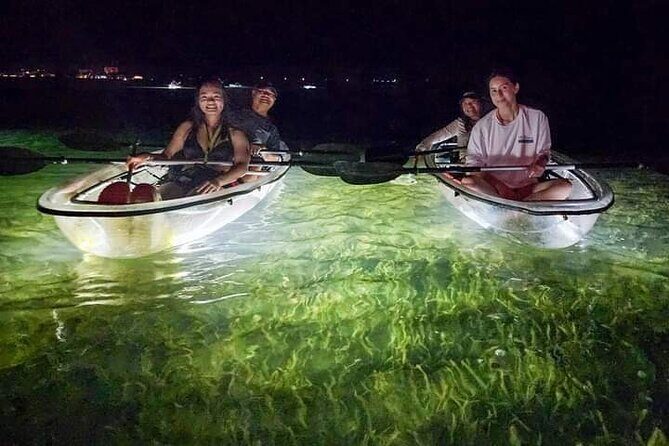 Siesta Key, FL - Clear Kayak LED Night Glass Bottom Tour - An In-Depth Look at the Night Kayak Experience