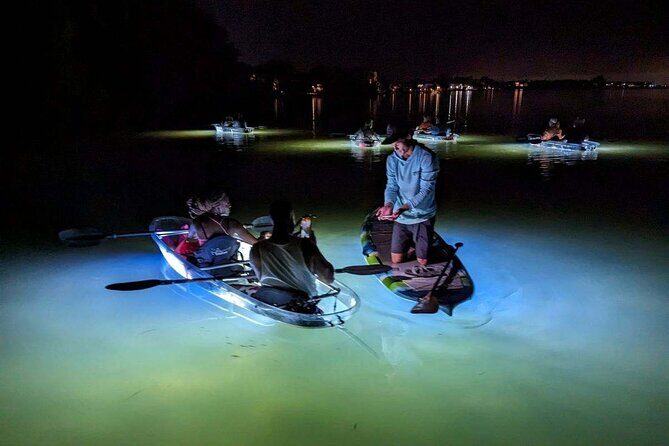 Siesta Key, FL - Clear Kayak LED Night Glass Bottom Tour - Who Will Love This Tour?