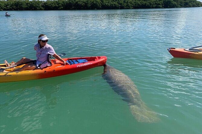 Siesta Key Guided Eco Tour - Who Is This Tour Best For?