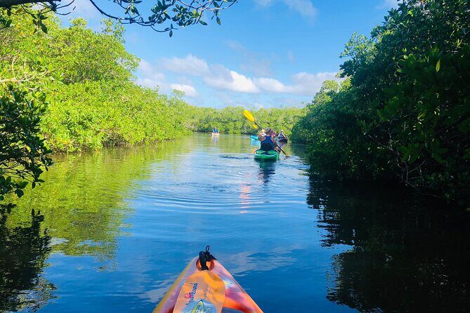Siesta Key Guided Eco Tour - What to Expect from the Experience