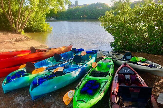 Siesta Key Guided Eco Tour - The Sum Up