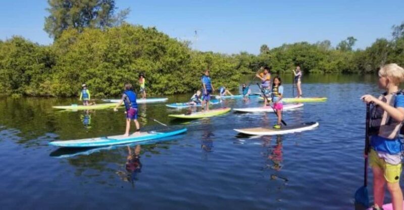 Siesta Key: Mangrove Kayak or Paddleboard Tour - The Practical Side: Equipment, Pricing, and Preparation