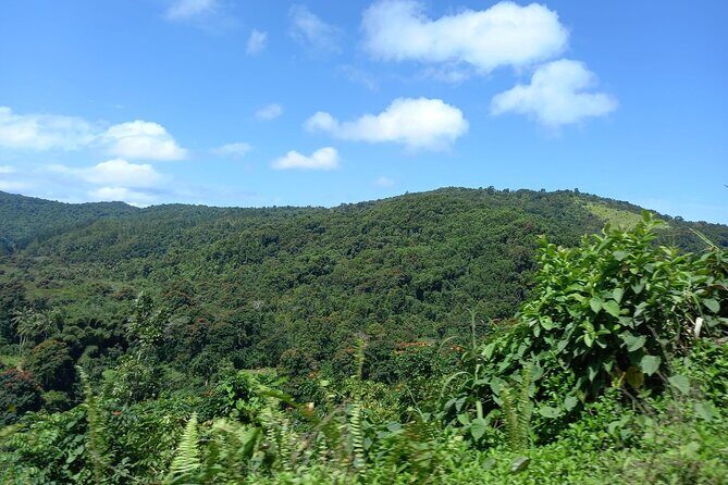Sigatoka Sand Dune and Water Fall Nature Tour Ex Nadi Sigatoka - The Sum Up